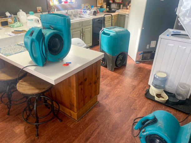 Best Flood damage cleanup  in Hendersonville, TN