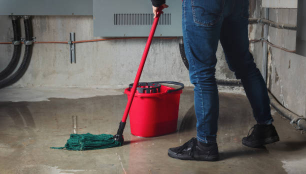 Best Water damage restoration experts  in Hendersonville, TN