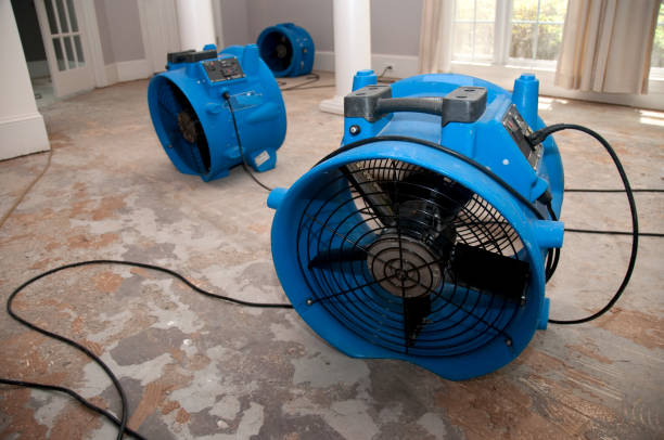 Best Emergency water damage restoration  in Hendersonville, TN