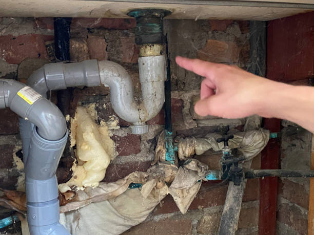 Best Water damage restoration specialists  in Hendersonville, TN