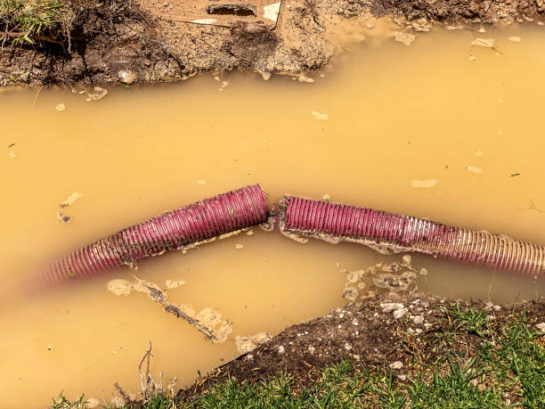 Reliable Hendersonville, TN Water damage restoration Solutions